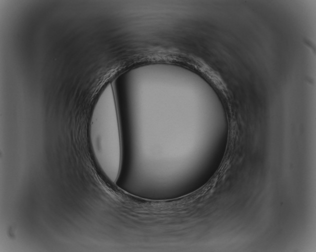 X0000097600009200802290743