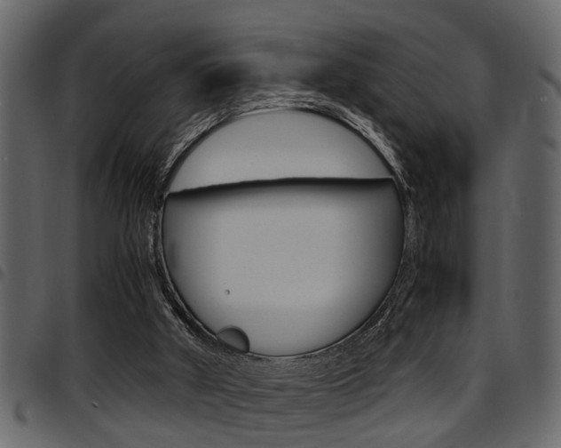 X0000097600010200802290743