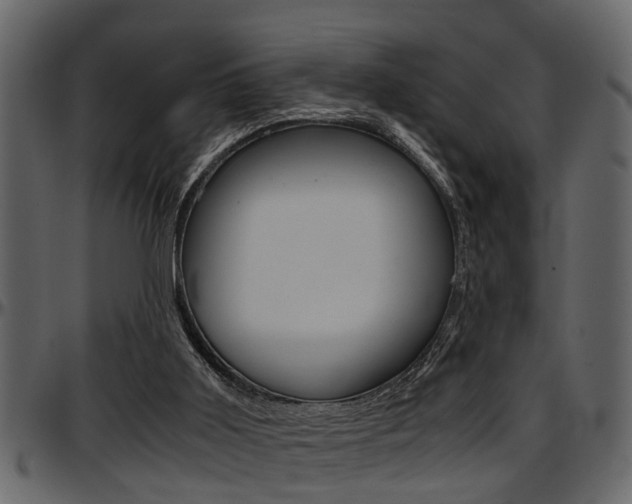 X0000097600011200802290743