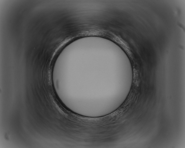 X0000097600012200802290743