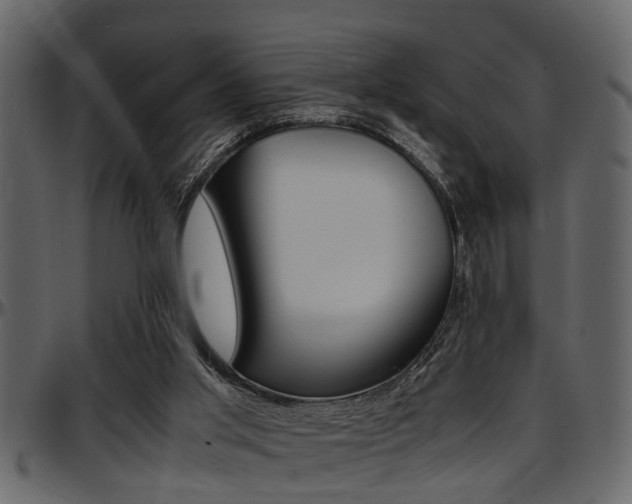 X0000097600013200802290743
