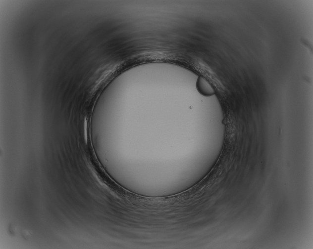 X0000097600014200802290743