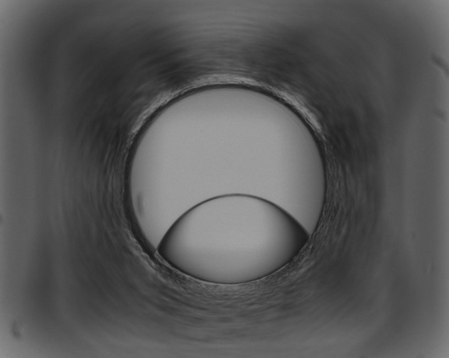 X0000097600015200802290743