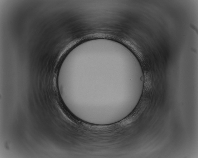 X0000097600016200802290743