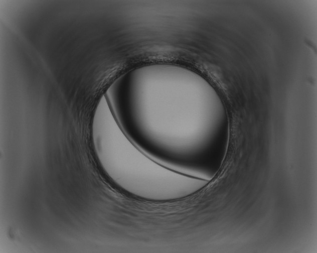 X0000097600017200802290743
