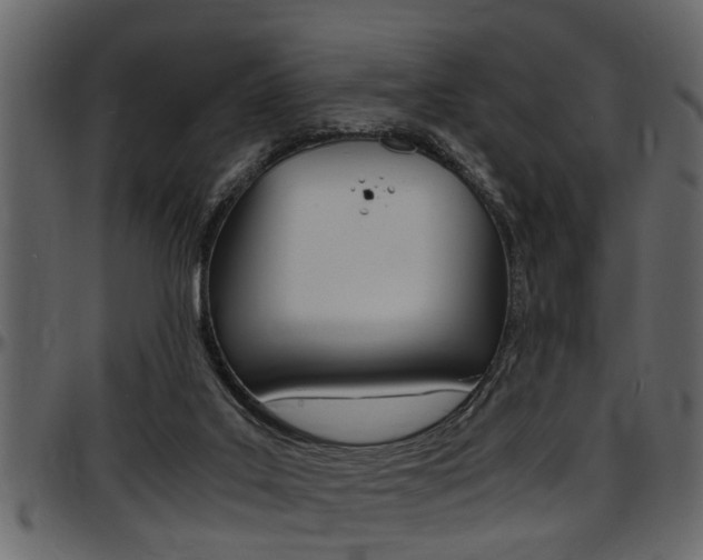 X0000097600019200802290743