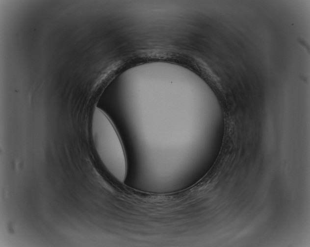 X0000097600020200802290743