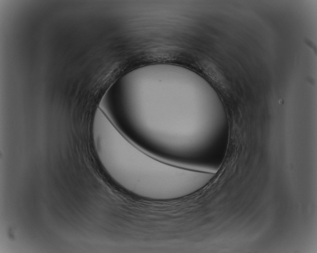 X0000097600021200802290743