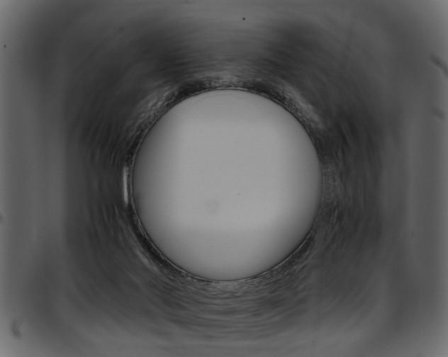 X0000097600022200802290743