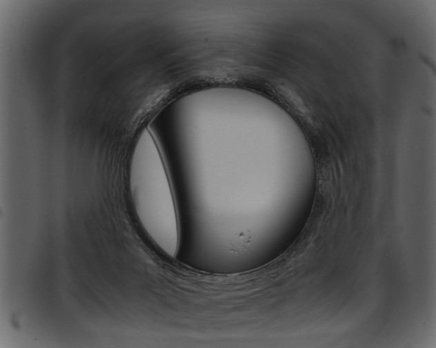 X0000097600023200802290743