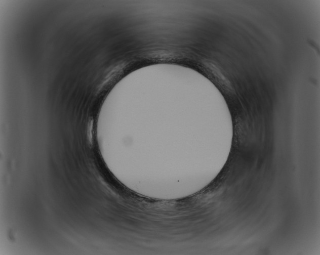 X0000097600024200802290742