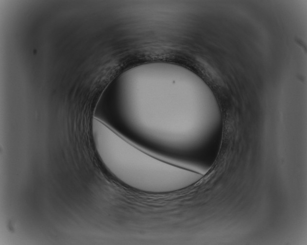 X0000097600025200802290742