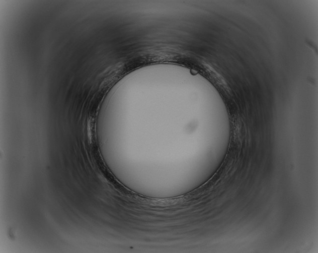X0000097600026200802290742
