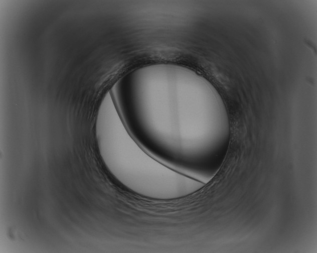 X0000097600027200802290742