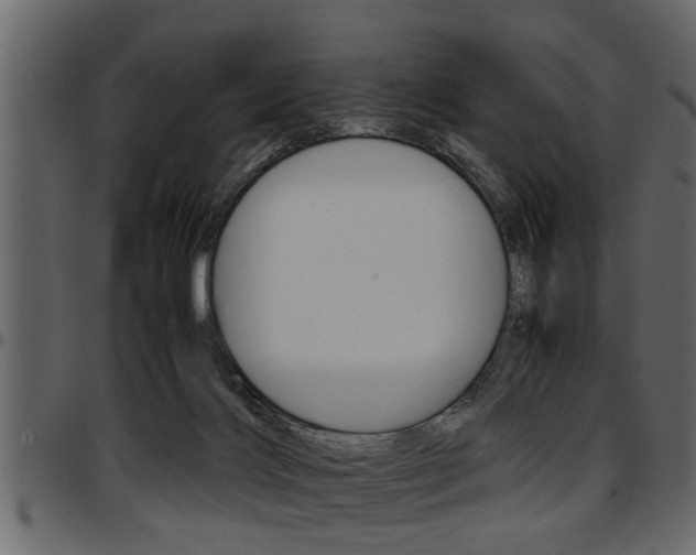 X0000097600028200802290742