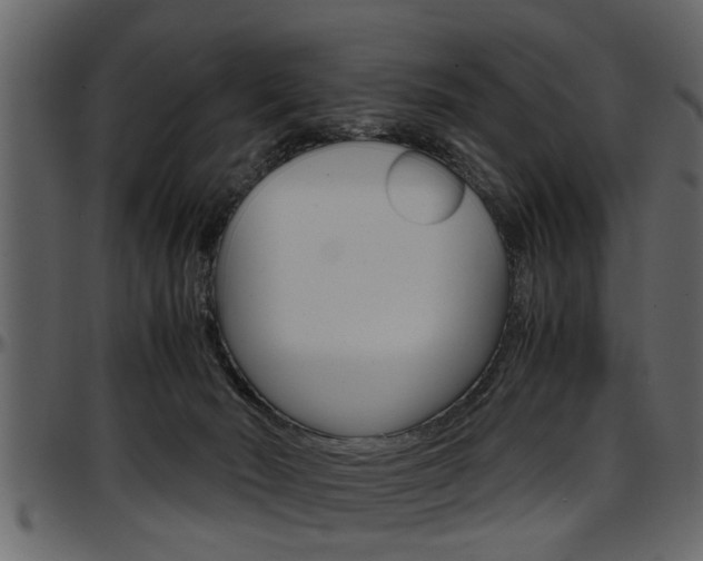 X0000097600030200802290742