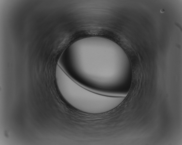 X0000097600031200802290742
