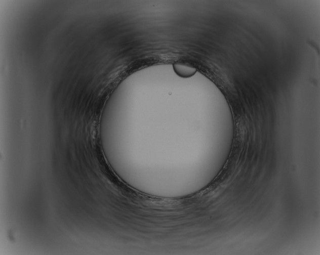 X0000097600032200802290742