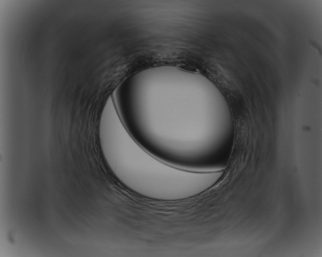 X0000097600033200802290742