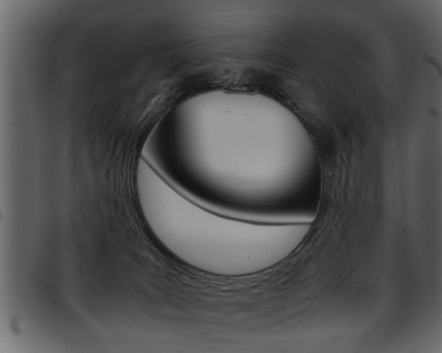 X0000097600035200802290742