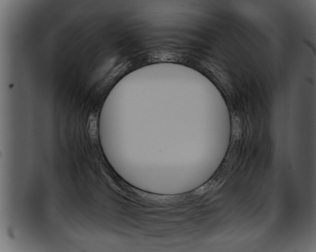 X0000097600036200802290742