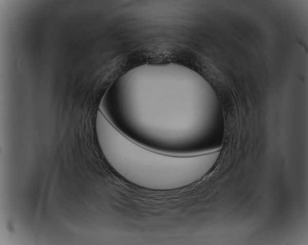 X0000097600037200802290742