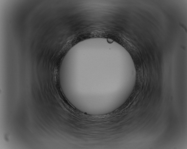 X0000097600038200802290742