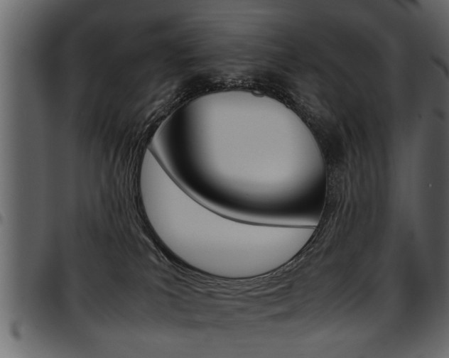 X0000097600039200802290742