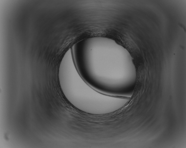 X0000097600041200802290742