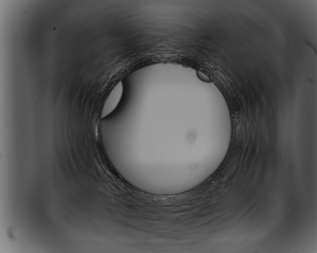 X0000097600042200802290742