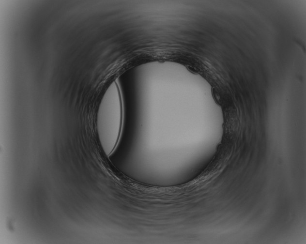 X0000097600044200802290742