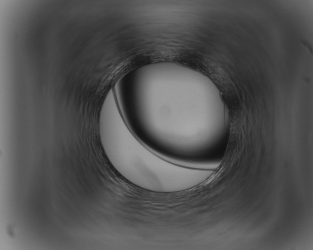 X0000097600045200802290742