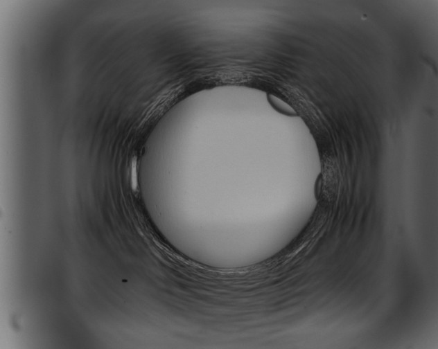 X0000097600046200802290742