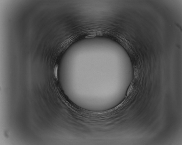 X0000097600047200802290742