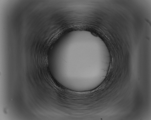 X0000097600048200802290742