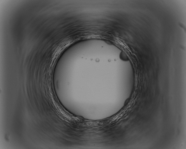 X0000097600049200802290741