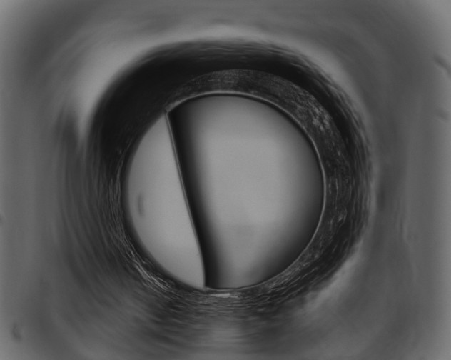 X0000097600050200802290742