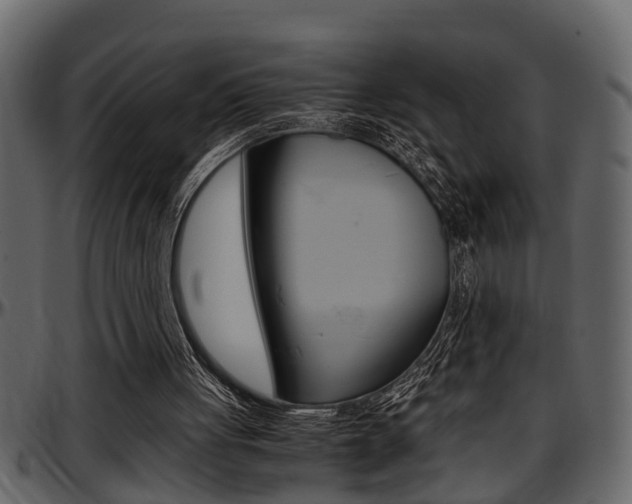 X0000097600051200802290742