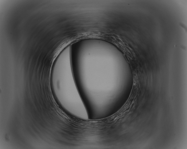 X0000097600052200802290742