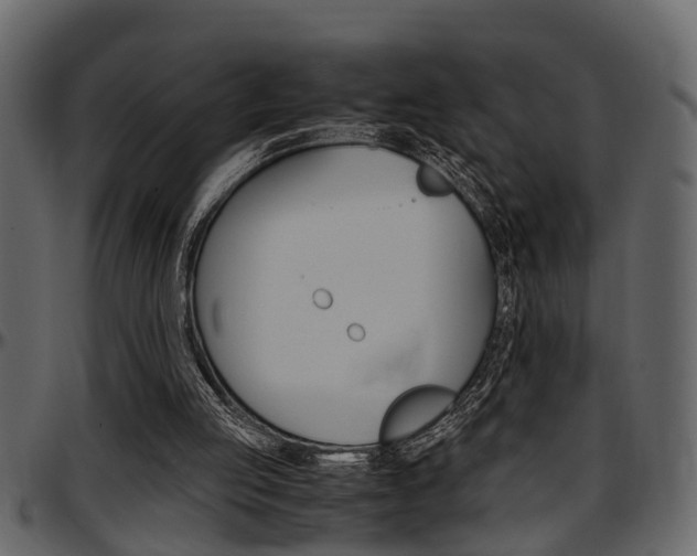 X0000097600053200802290742