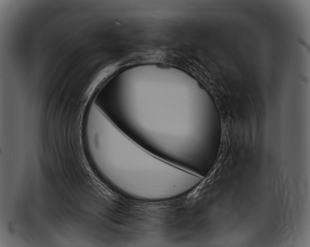 X0000097600054200802290742