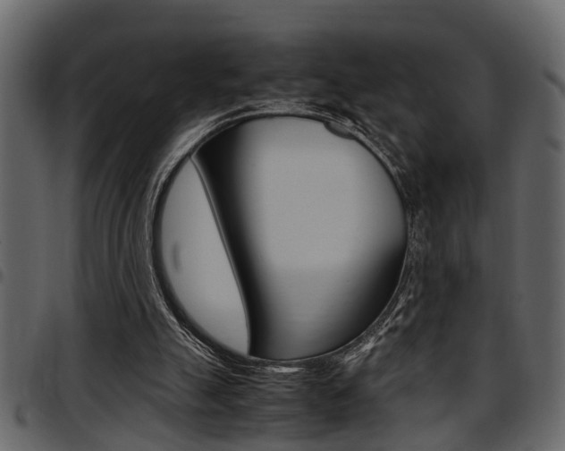 X0000097600055200802290742