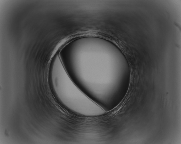 X0000097600056200802290742