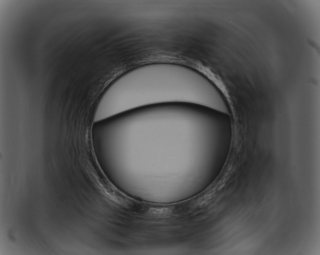 X0000097600057200802290742