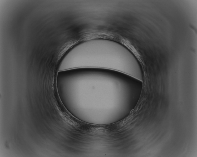 X0000097600058200802290742