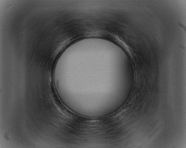 X0000097600059200802290742