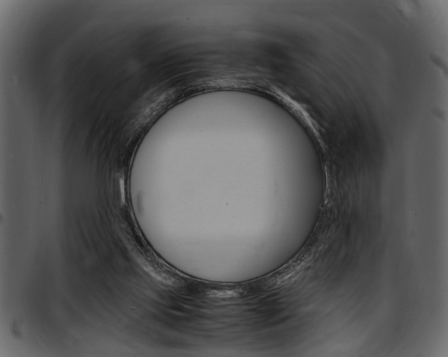 X0000097600061200802290742