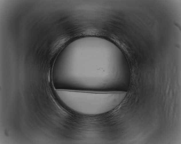 X0000097600062200802290742