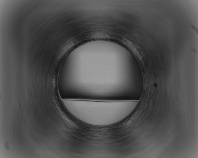 X0000097600063200802290742