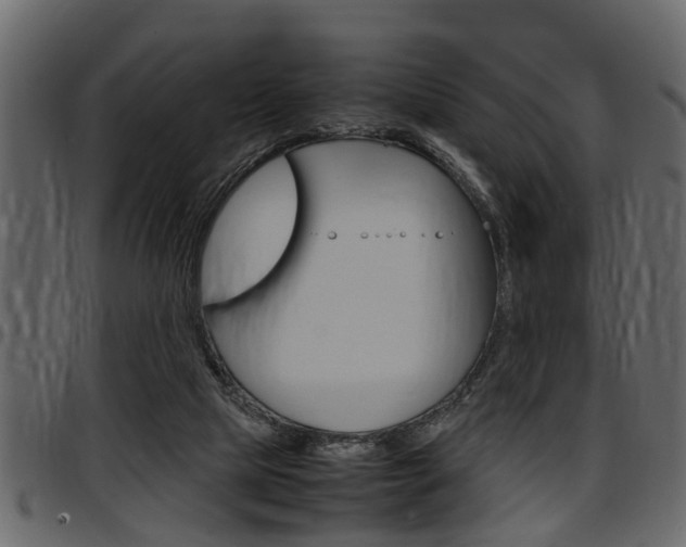 X0000097600065200802290742